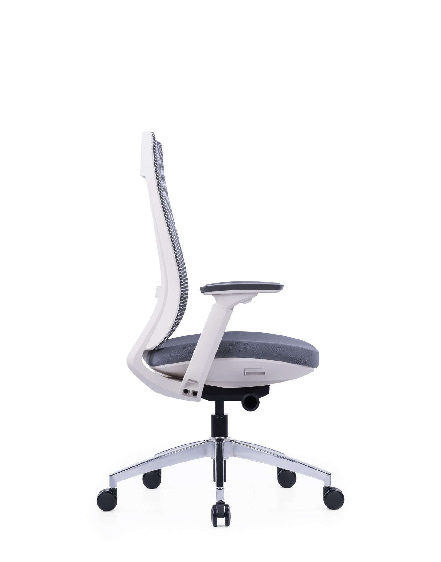 Ergo Bliss Medium Back
