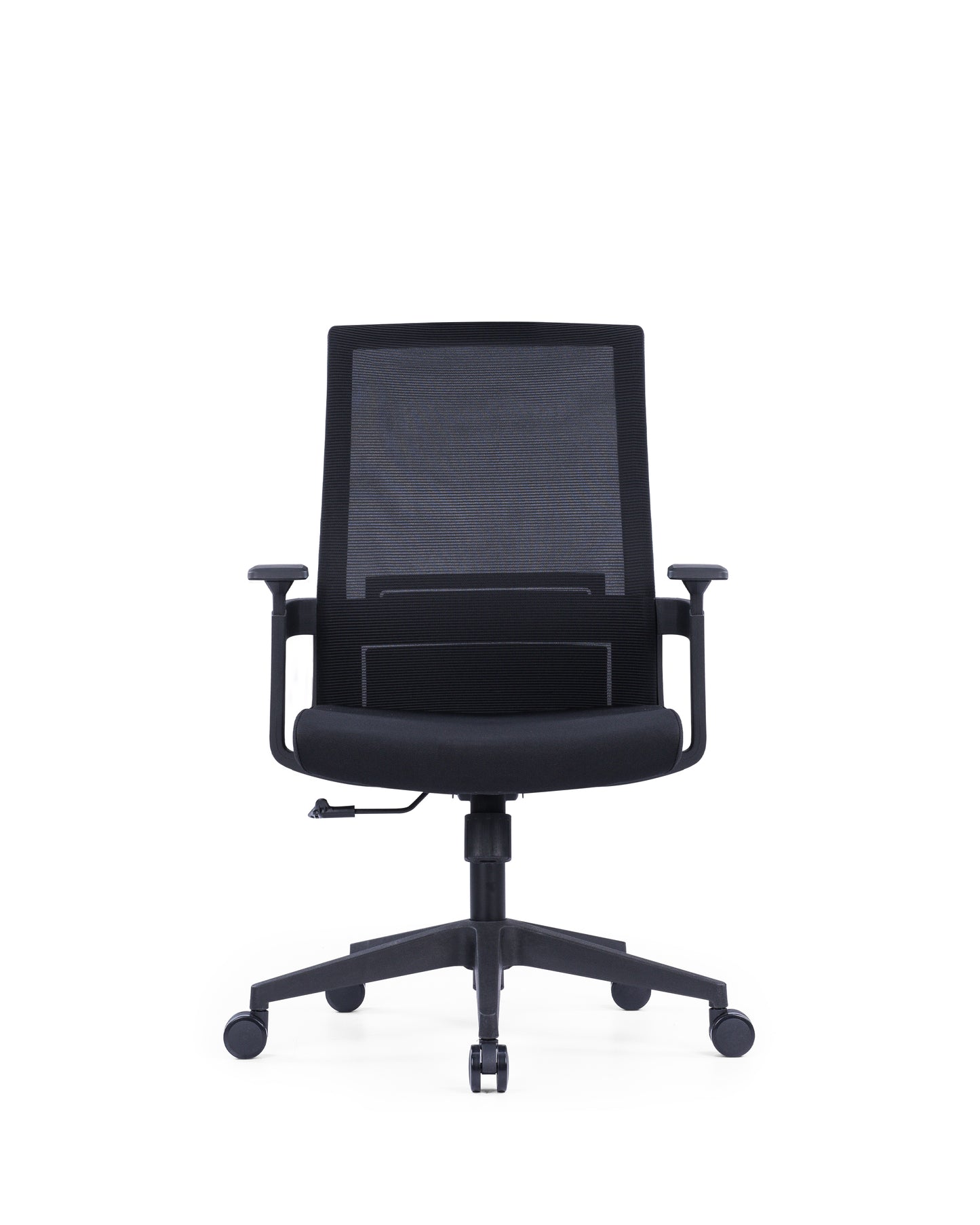 The Echo Medium Back