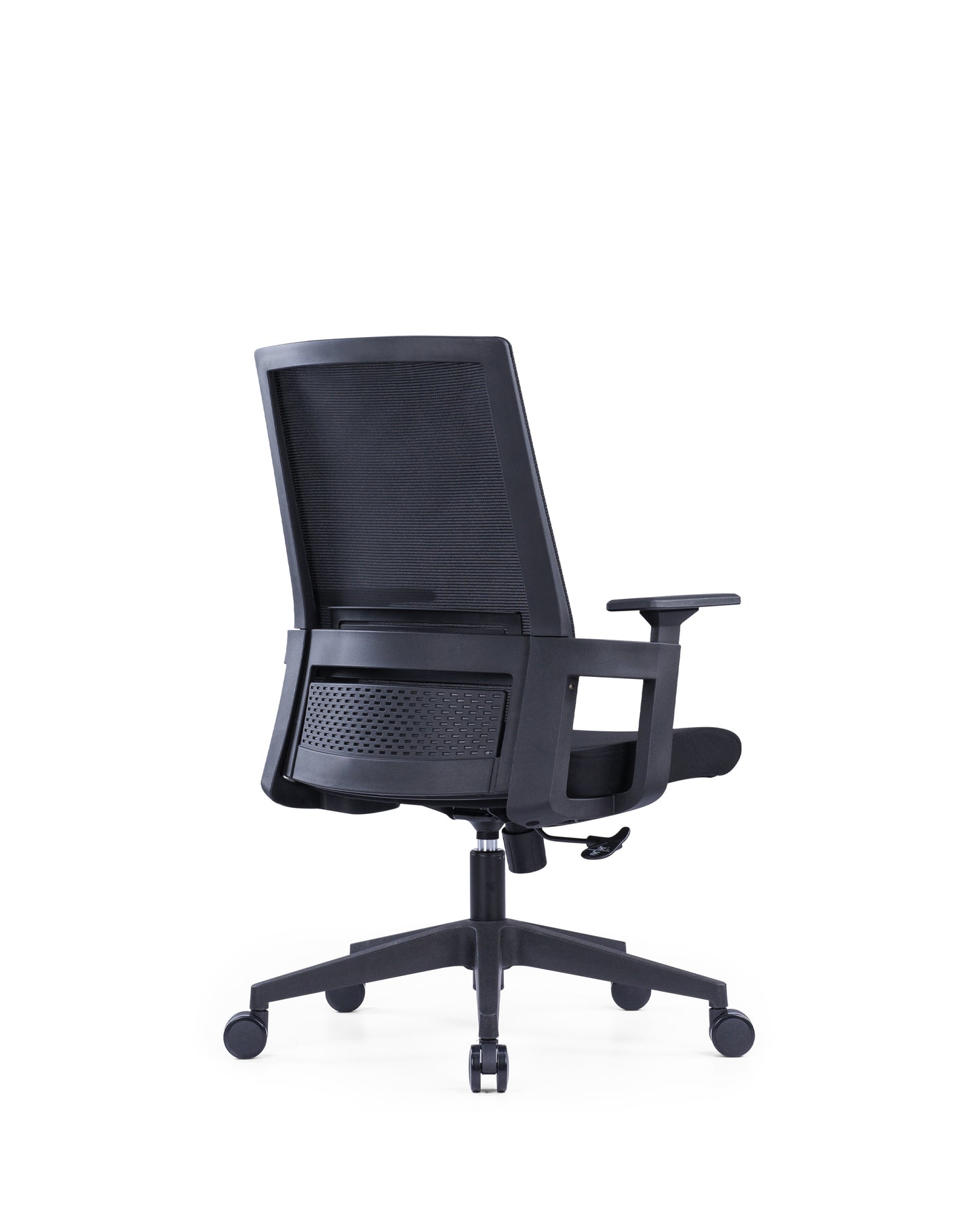 The Echo Medium Back