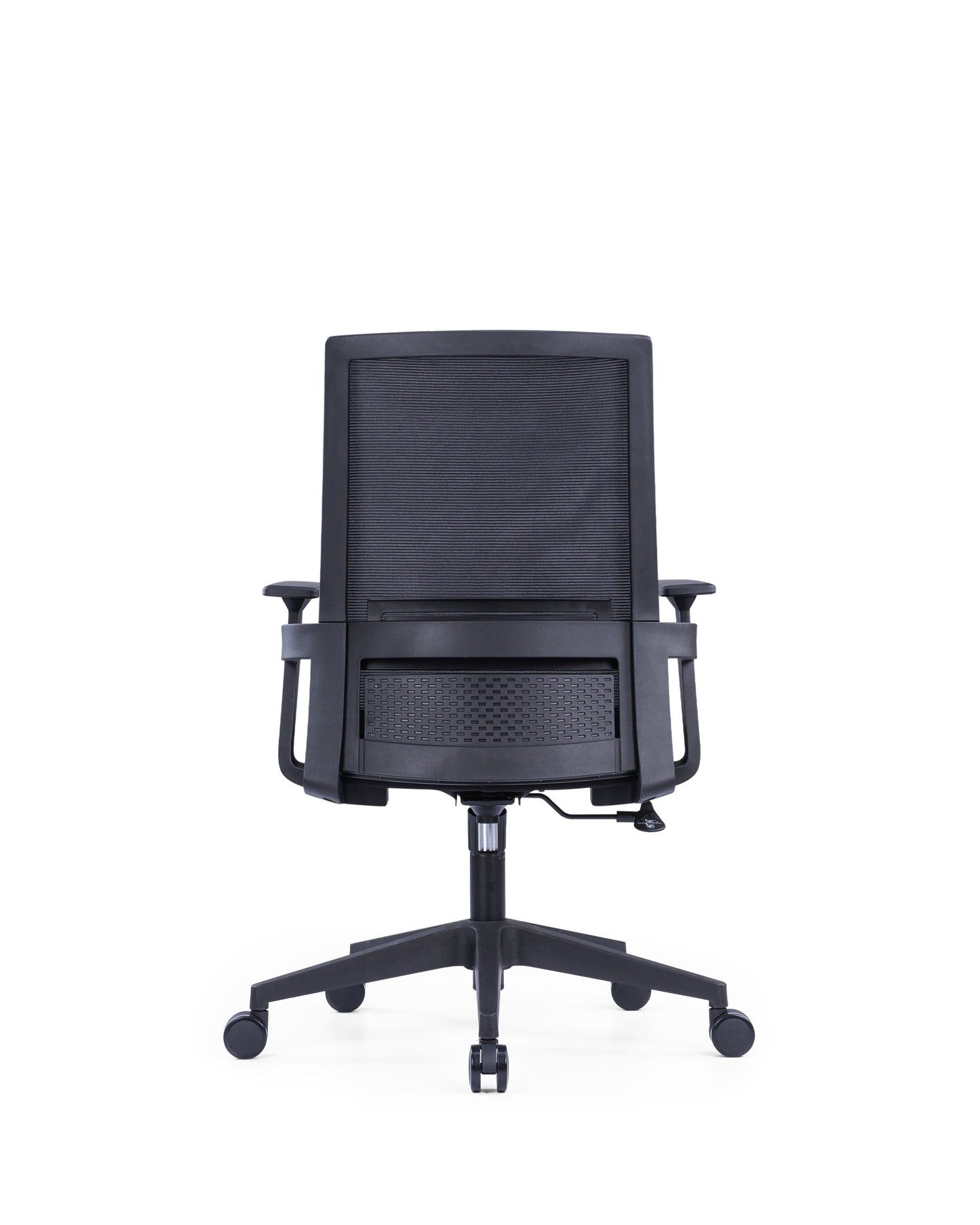 The Echo Medium Back