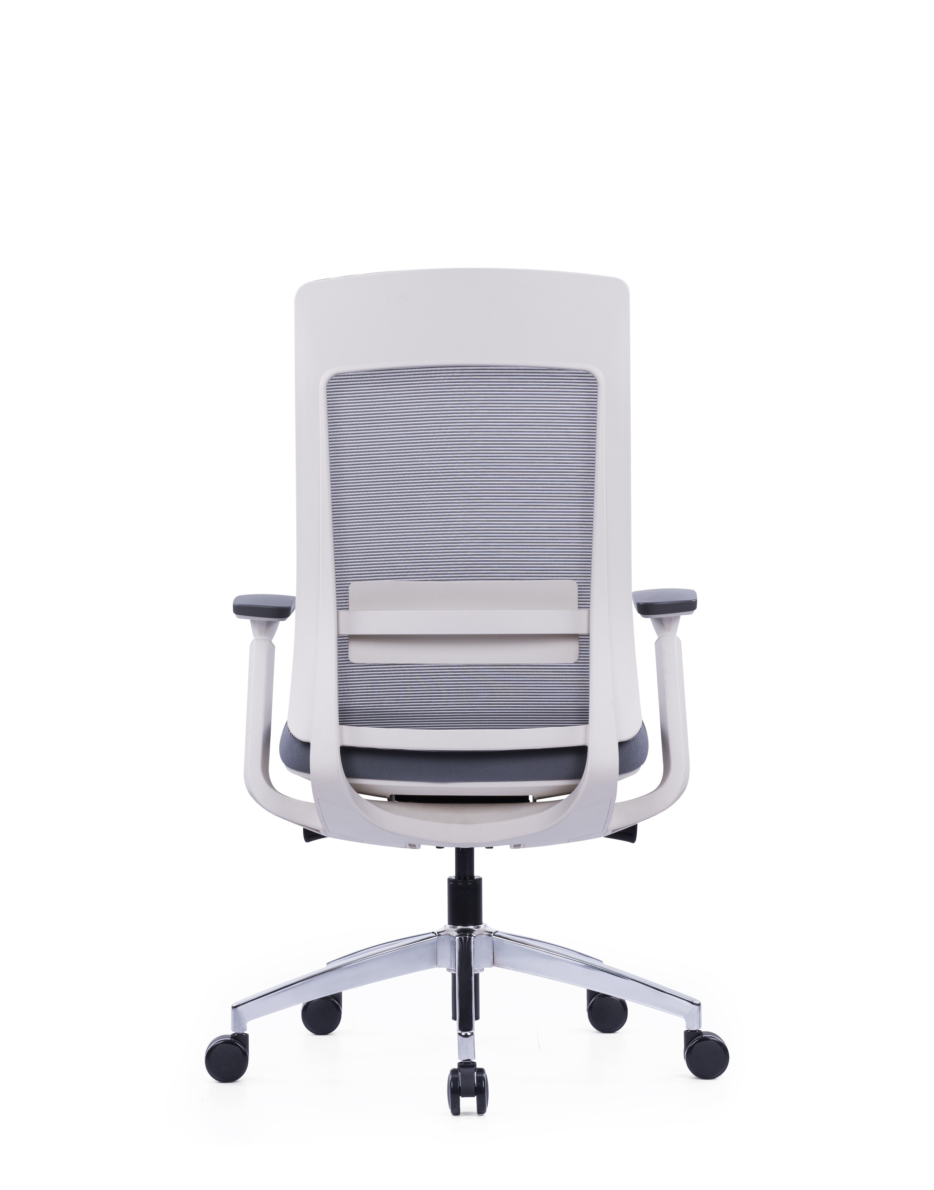Ergo Bliss Medium Back