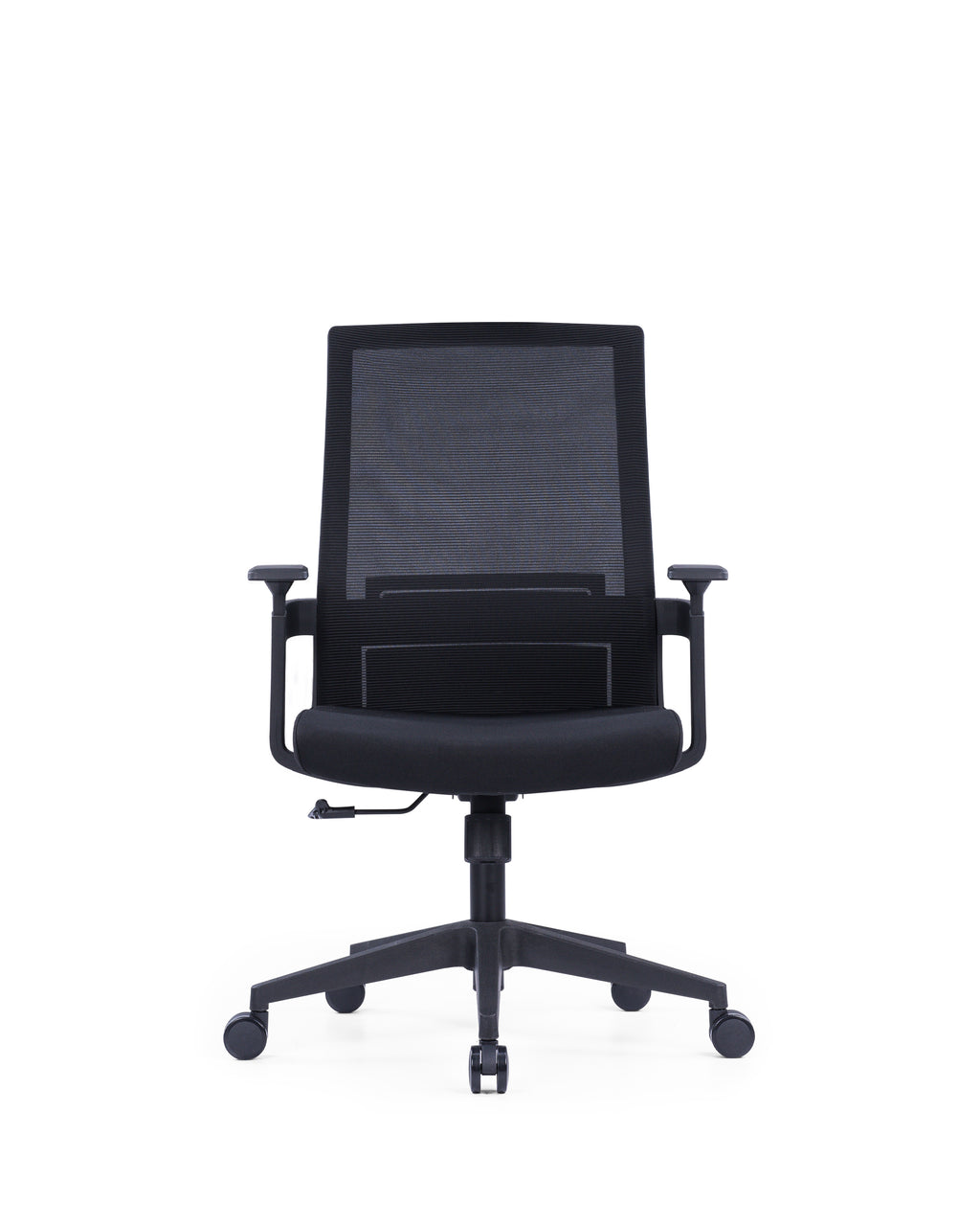 The Echo Medium Back