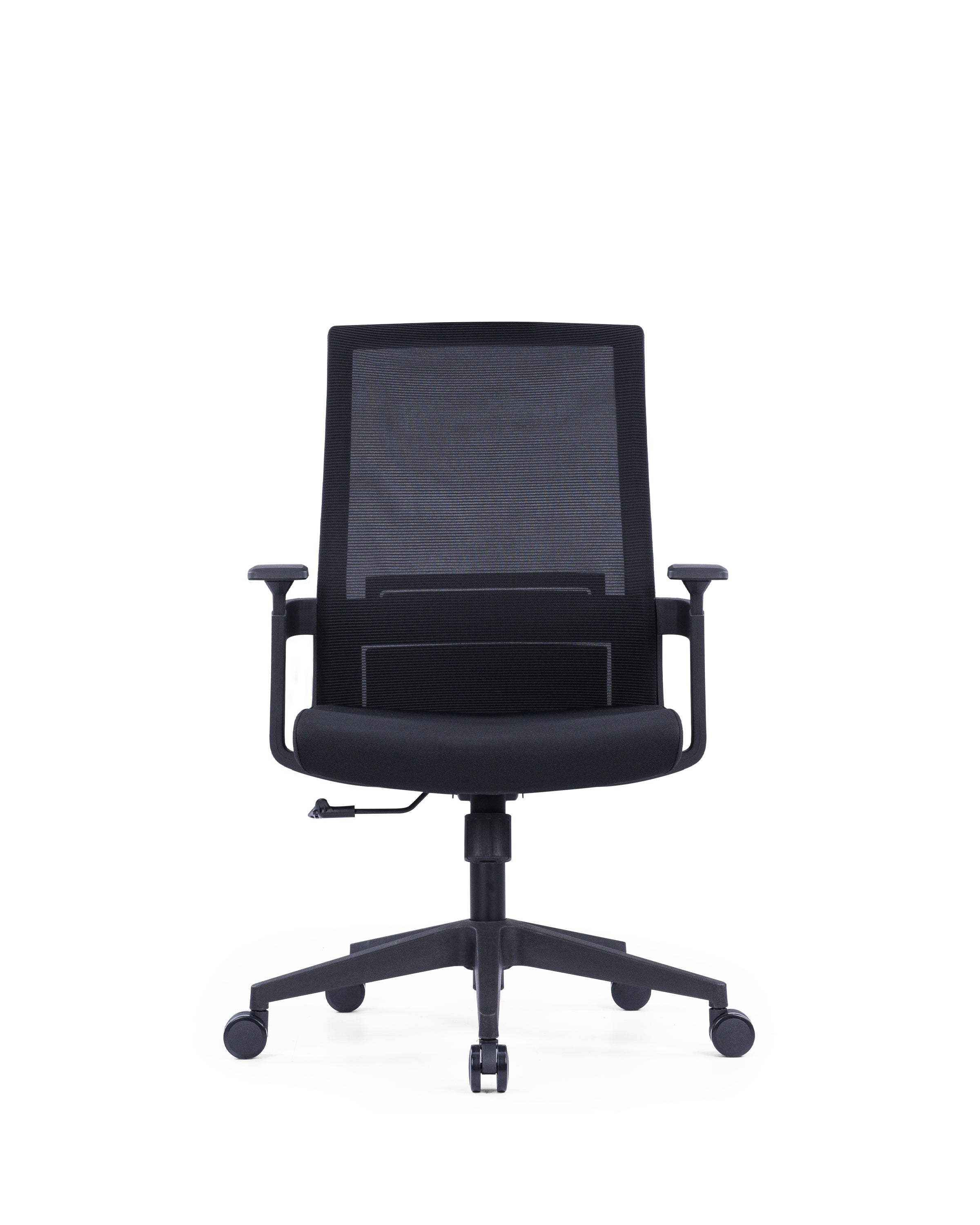 The Echo Medium Back