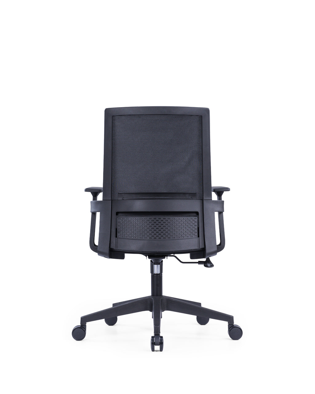 The Echo Medium Back