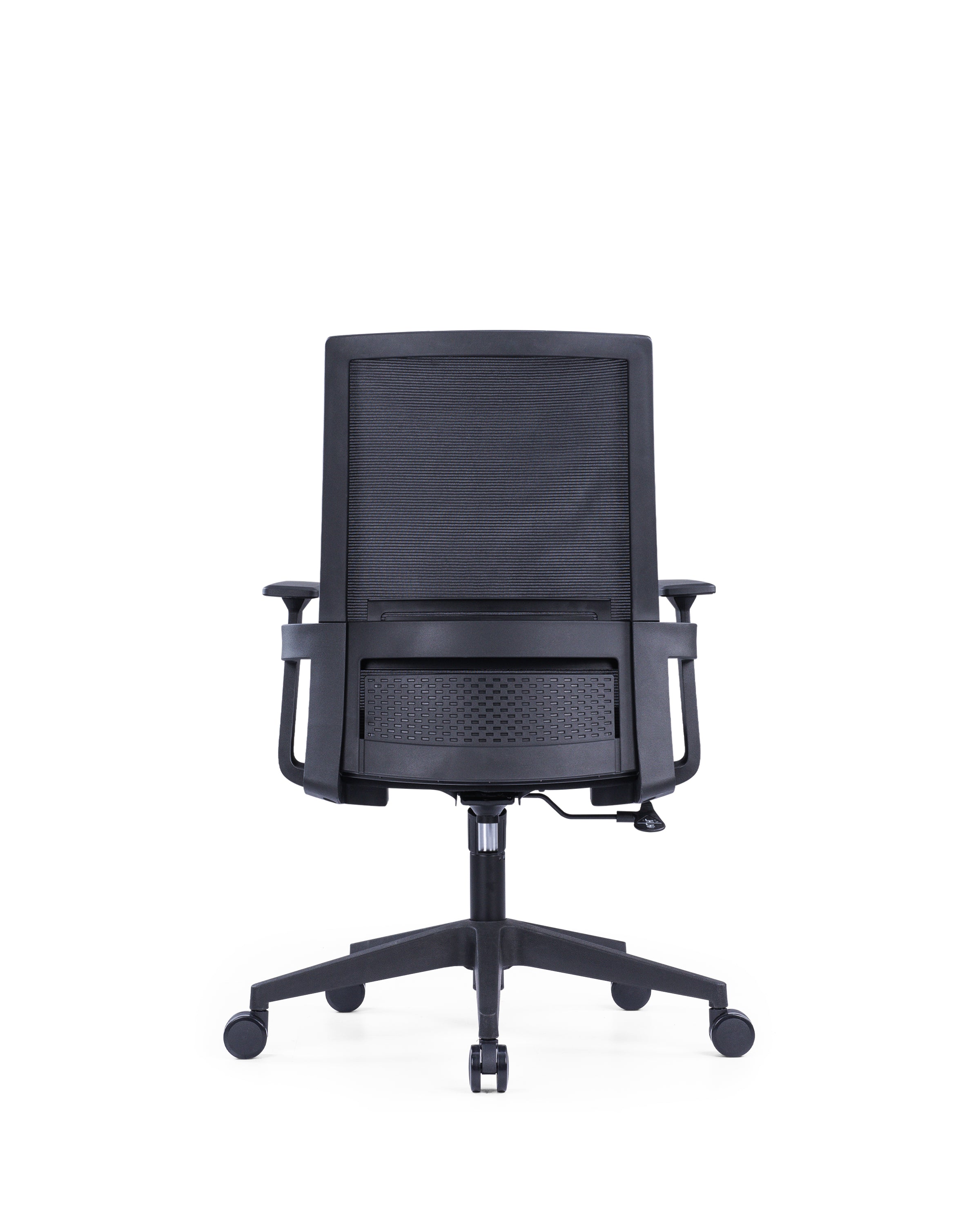 The Echo Medium Back