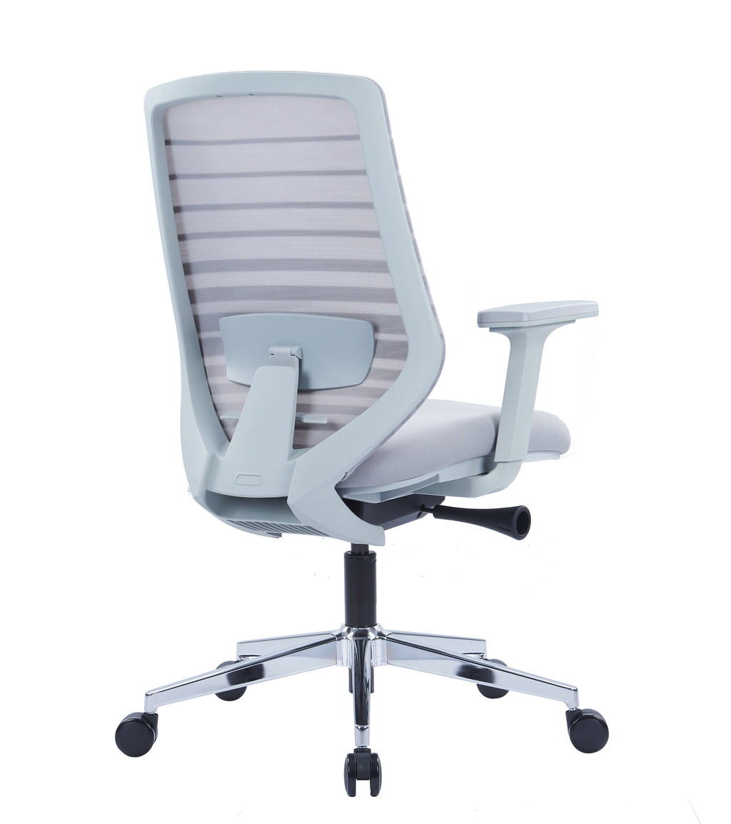 OmniErgo Mid Back