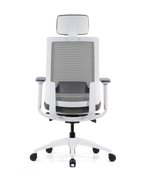 Sit-Smart High Back Chair with Mesh